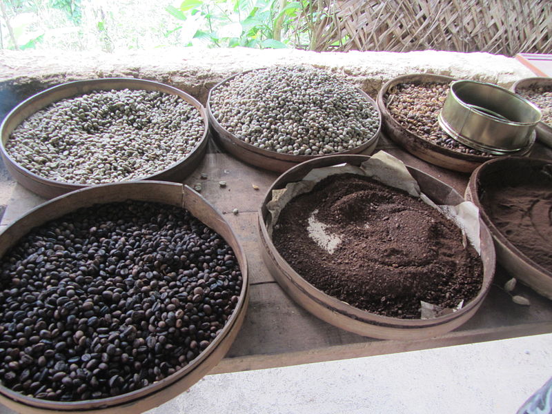 Coffee beans in Bali, Indonesia
